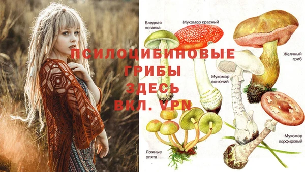первитин Вязники