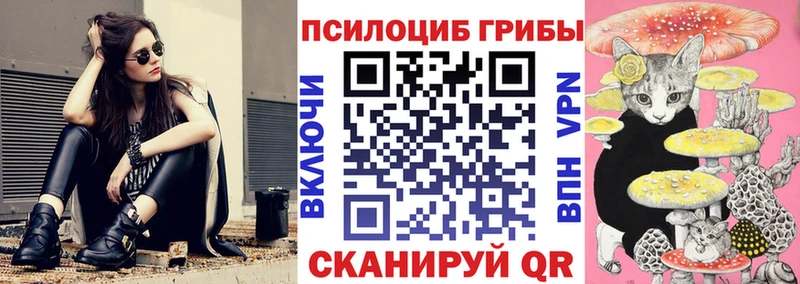 Купить закладки  Петрозаводск  Псилоцибиновые грибы MAGIC MUSHROOMS 