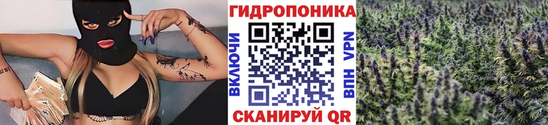 Канабис AK-47  Купить где  Петрозаводск 